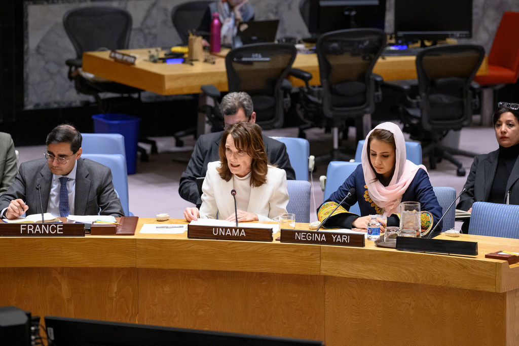 Жоржет Ганьон в Совете Безопасности. (Архив)